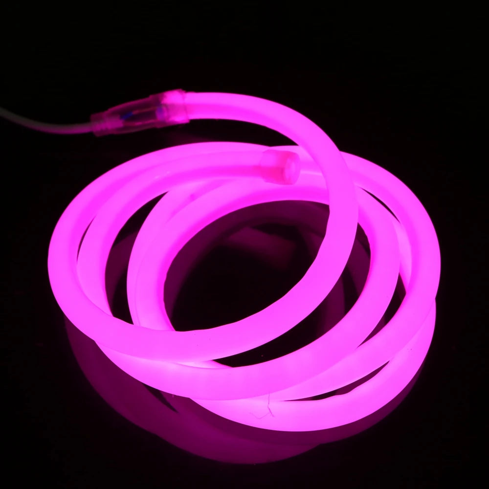 220V Neon Light LED Strip 2835 120led 360 Round Tube Neon Strip Flexible Led Light IP68 Waterproof Rope String Home Decoration - SkyHavenZen llc