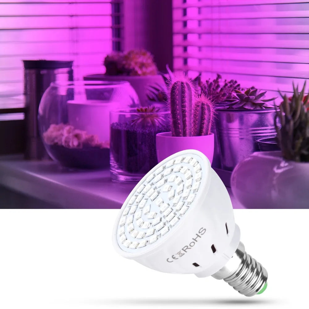 80leds 220V LED Grow Lamp Full Spectrum LED Plant Growth Lamp Indoor Lighting Grow Lights Plants E27 Hydroponic System Grow Box - SkyHavenZen llc