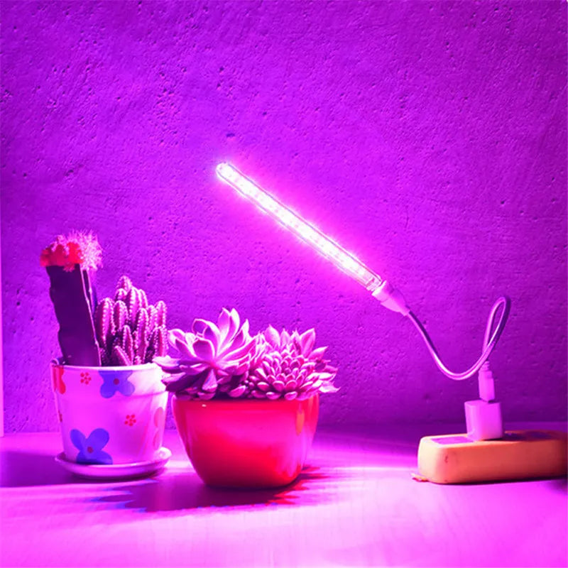 5V LED Grow Light USB Full Spectrum Red & Blue Phyto Grow Lamp 21 leds Indoor Phytolamp For Plants Flowers Seedling Greenhouse - SkyHavenZen llc