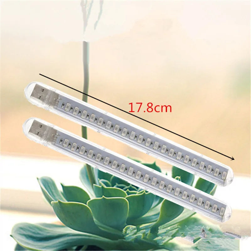 5V LED Grow Light USB Full Spectrum Red & Blue Phyto Grow Lamp 21 leds Indoor Phytolamp For Plants Flowers Seedling Greenhouse - SkyHavenZen llc