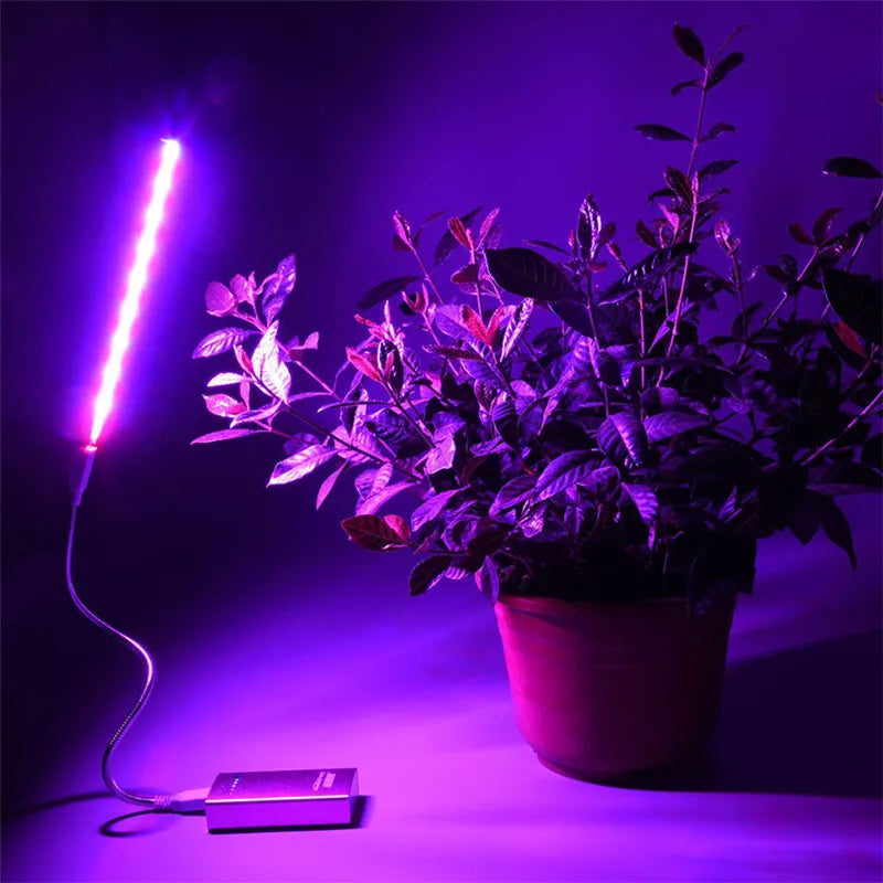 5V LED Grow Light USB Full Spectrum Red & Blue Phyto Grow Lamp 21 leds Indoor Phytolamp For Plants Flowers Seedling Greenhouse - SkyHavenZen llc